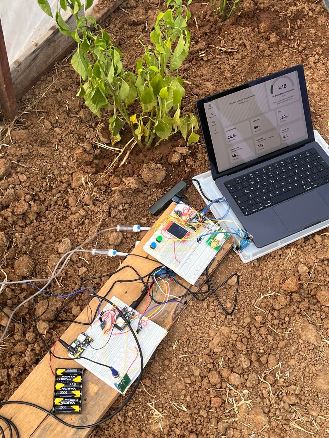 Pepper greenhouse with sensors in the soil, ClimaNex and TerraNex prototypes on two breadboards, the irrigation line and a laptop showing the panel